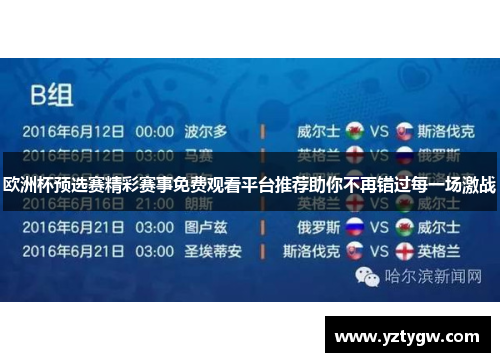 欧洲杯预选赛精彩赛事免费观看平台推荐助你不再错过每一场激战