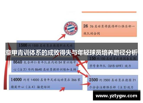 意甲青训体系的成败得失与年轻球员培养路径分析